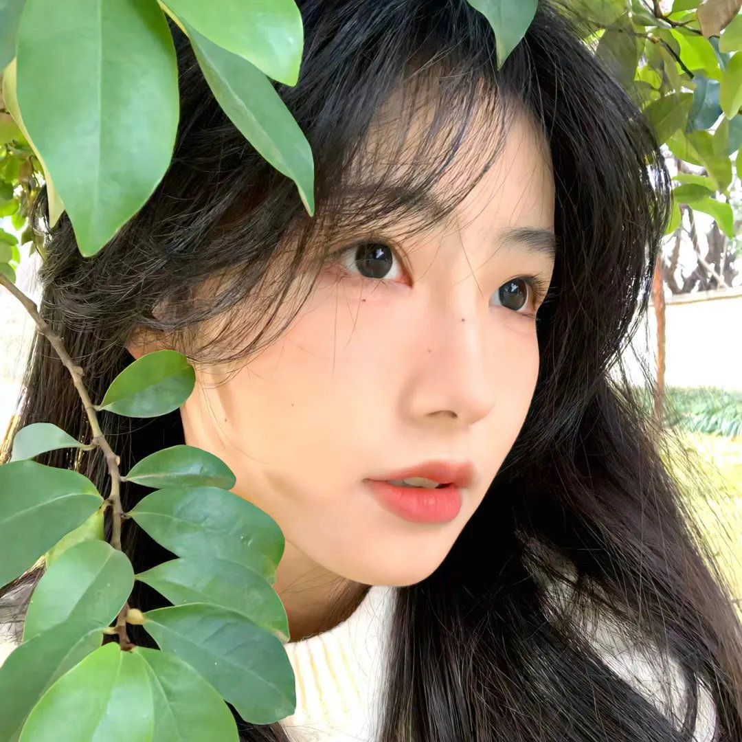 白色的南方