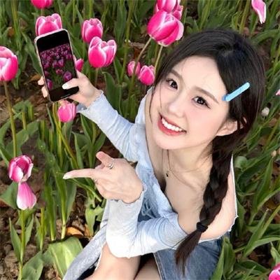 雏菊