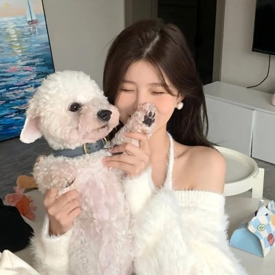 不说话的爱