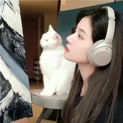 金牌贱猫：重新出击